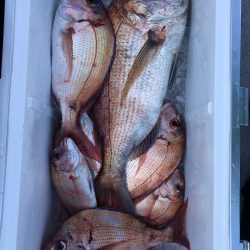 フィッシング キッタカ 釣果