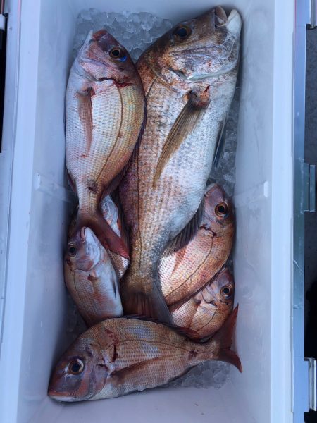 フィッシング　キッタカ 釣果