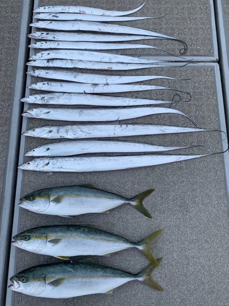 SeaRide(シーライド) 釣果