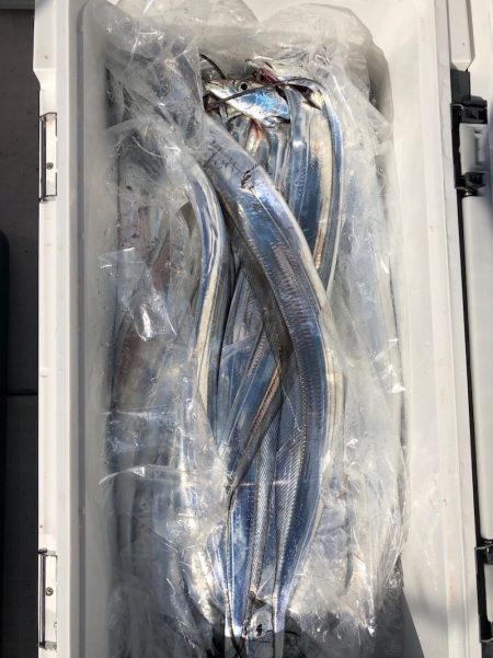 フィッシング　キッタカ 釣果