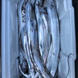 フィッシング キッタカ 釣果