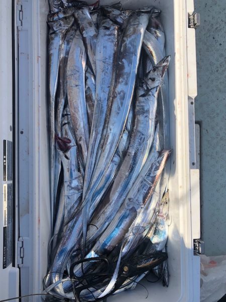 フィッシング キッタカ 釣果