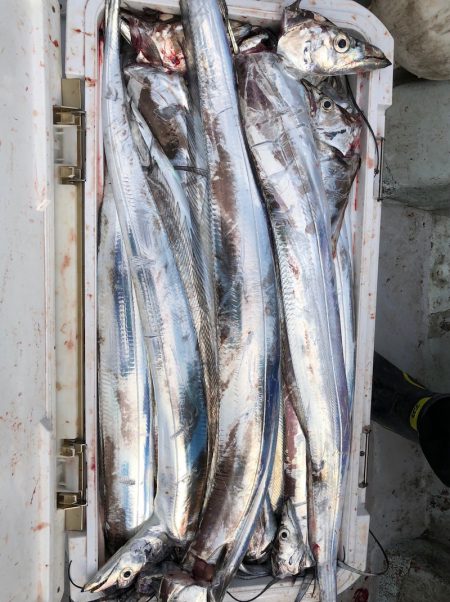 フィッシング　キッタカ 釣果