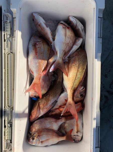 フィッシング キッタカ 釣果