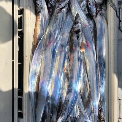 フィッシング　キッタカ 釣果