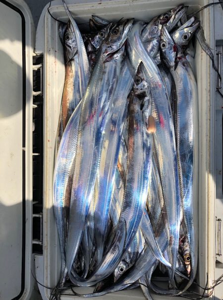 フィッシング　キッタカ 釣果