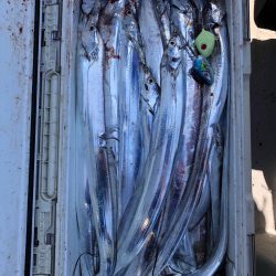 フィッシング　キッタカ 釣果