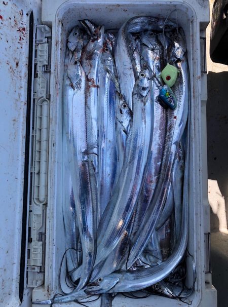 フィッシング　キッタカ 釣果