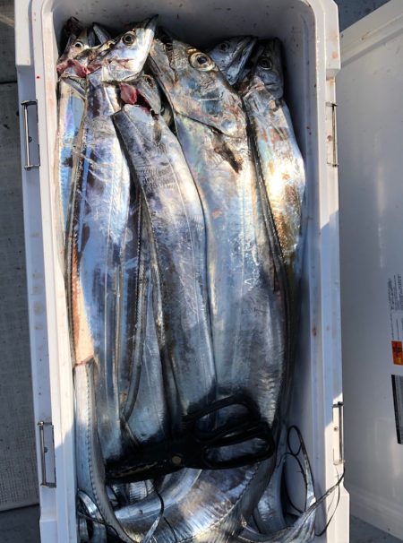 フィッシング キッタカ 釣果