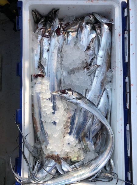 フィッシング キッタカ 釣果