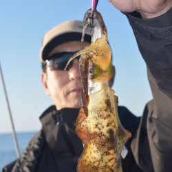 渡船屋たにぐち 釣果