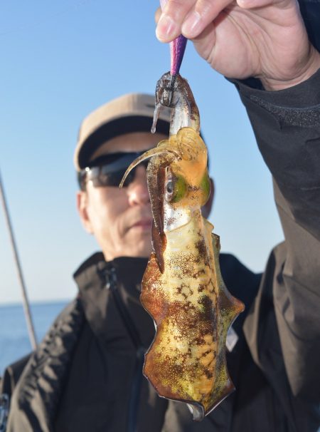 渡船屋たにぐち 釣果