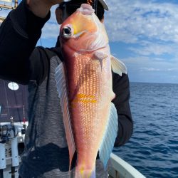 あみや渡船 JIGBOY 釣果