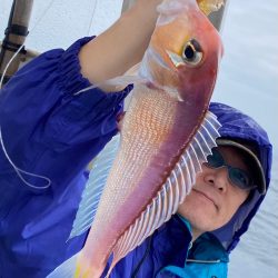 あみや渡船 JIGBOY 釣果