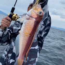 あみや渡船 JIGBOY 釣果