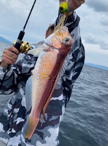 あみや渡船 JIGBOY 釣果