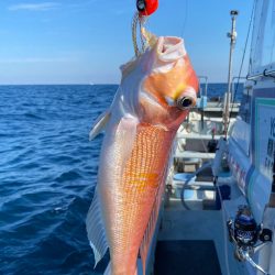 あみや渡船 JIGBOY 釣果