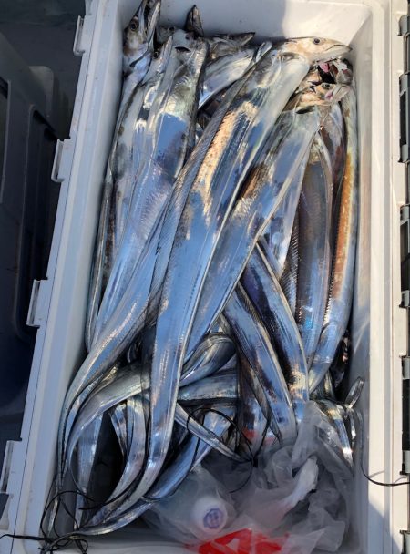 フィッシング　キッタカ 釣果