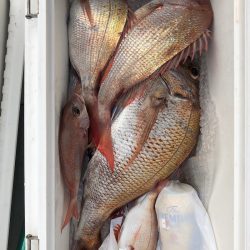 フィッシング キッタカ 釣果