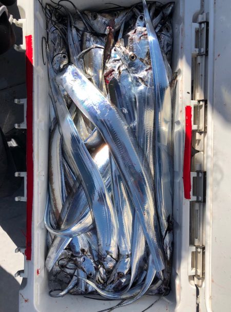 フィッシング　キッタカ 釣果