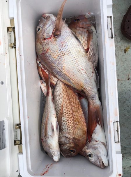 フィッシング キッタカ 釣果