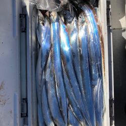 フィッシング　キッタカ 釣果