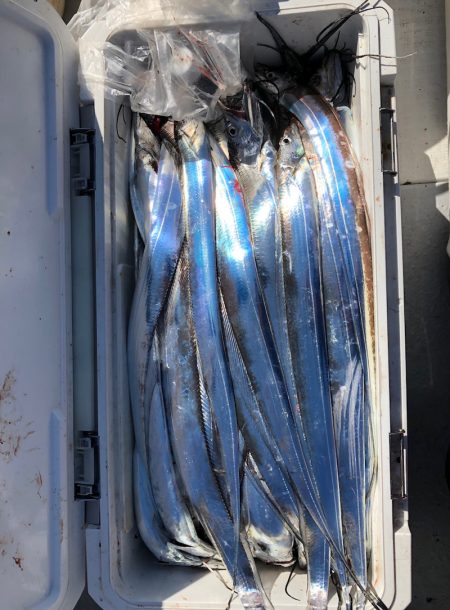 フィッシング　キッタカ 釣果