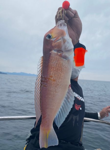 あみや渡船 JIGBOY 釣果