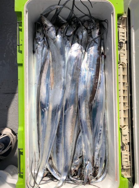 フィッシング　キッタカ 釣果