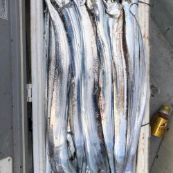 フィッシング　キッタカ 釣果