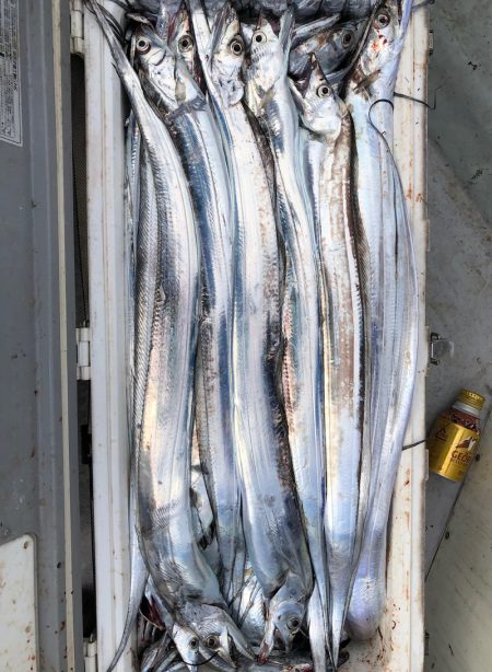 フィッシング　キッタカ 釣果