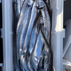 フィッシング　キッタカ 釣果