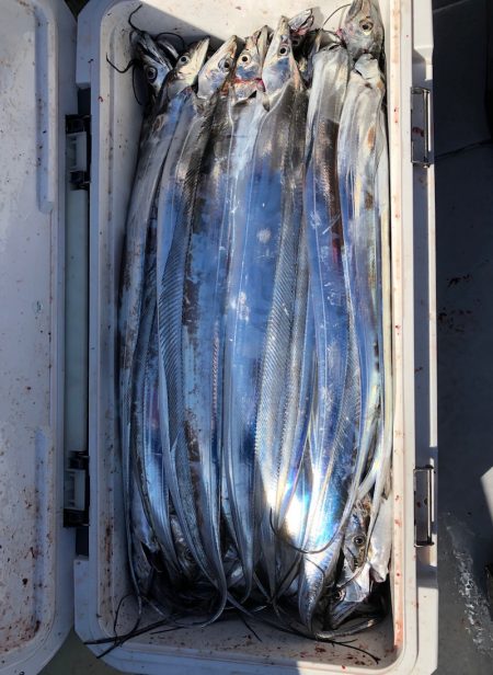 フィッシング　キッタカ 釣果