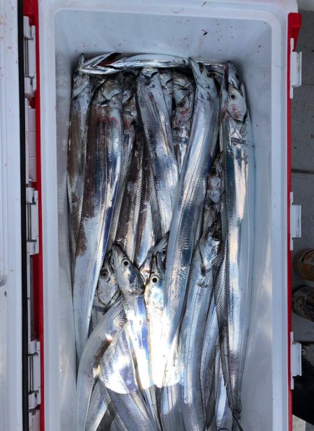 フィッシング　キッタカ 釣果