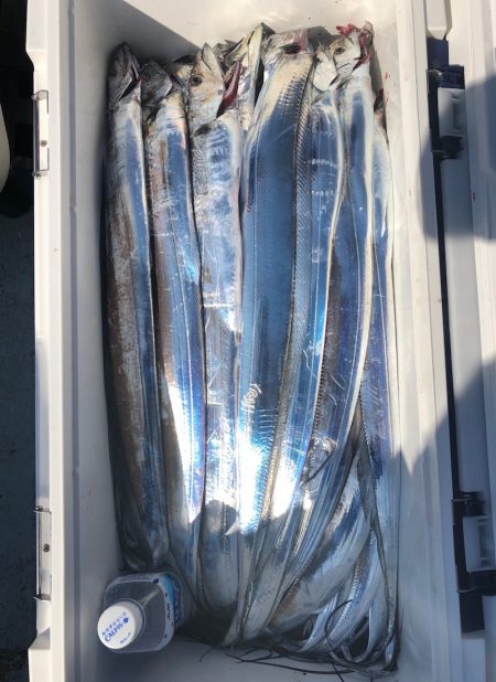 フィッシング キッタカ 釣果