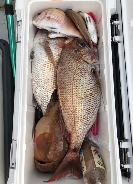 フィッシング キッタカ 釣果