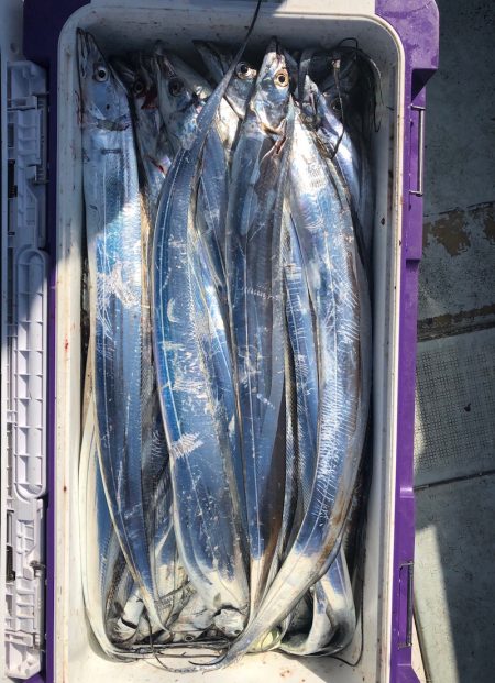 フィッシング　キッタカ 釣果