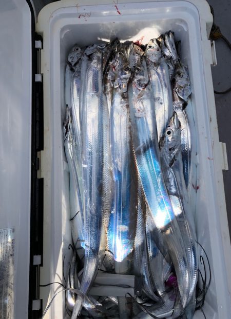 フィッシング　キッタカ 釣果