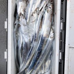 フィッシング　キッタカ 釣果