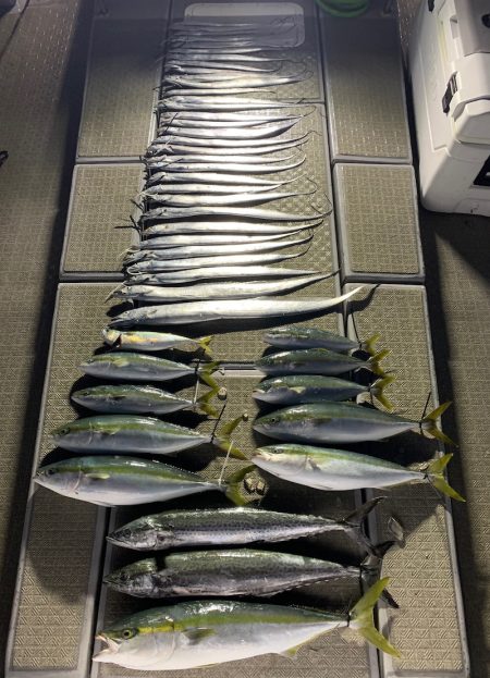 SeaRide(シーライド) 釣果