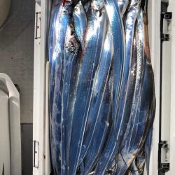 フィッシング　キッタカ 釣果