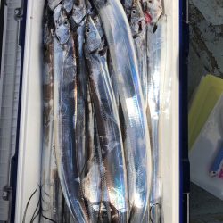 フィッシング キッタカ 釣果