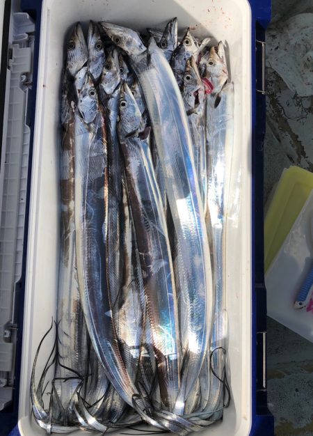 フィッシング キッタカ 釣果