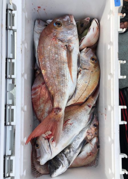 フィッシング キッタカ 釣果