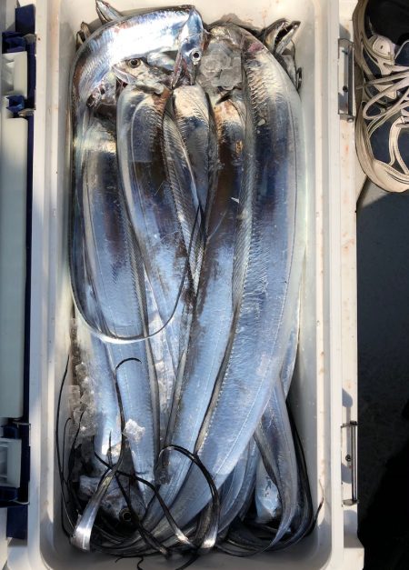 フィッシング キッタカ 釣果