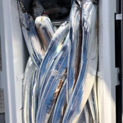 フィッシング　キッタカ 釣果