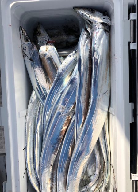 フィッシング　キッタカ 釣果