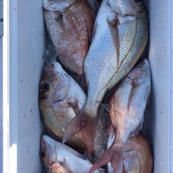 フィッシング キッタカ 釣果