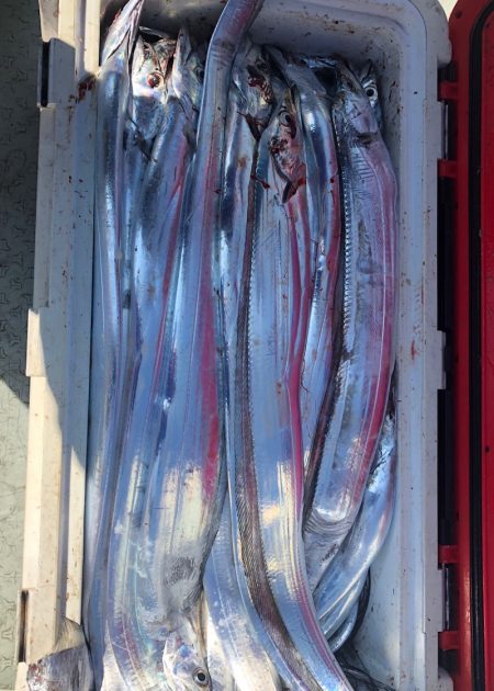 フィッシング キッタカ 釣果