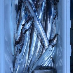 フィッシング キッタカ 釣果